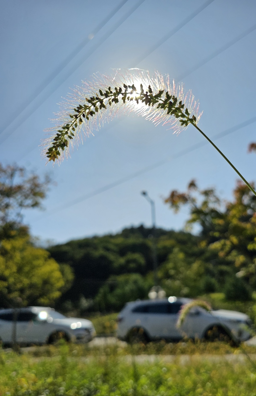 a80c7e3435ff78e6b879855b953414ef_1700037953_5155.jpg