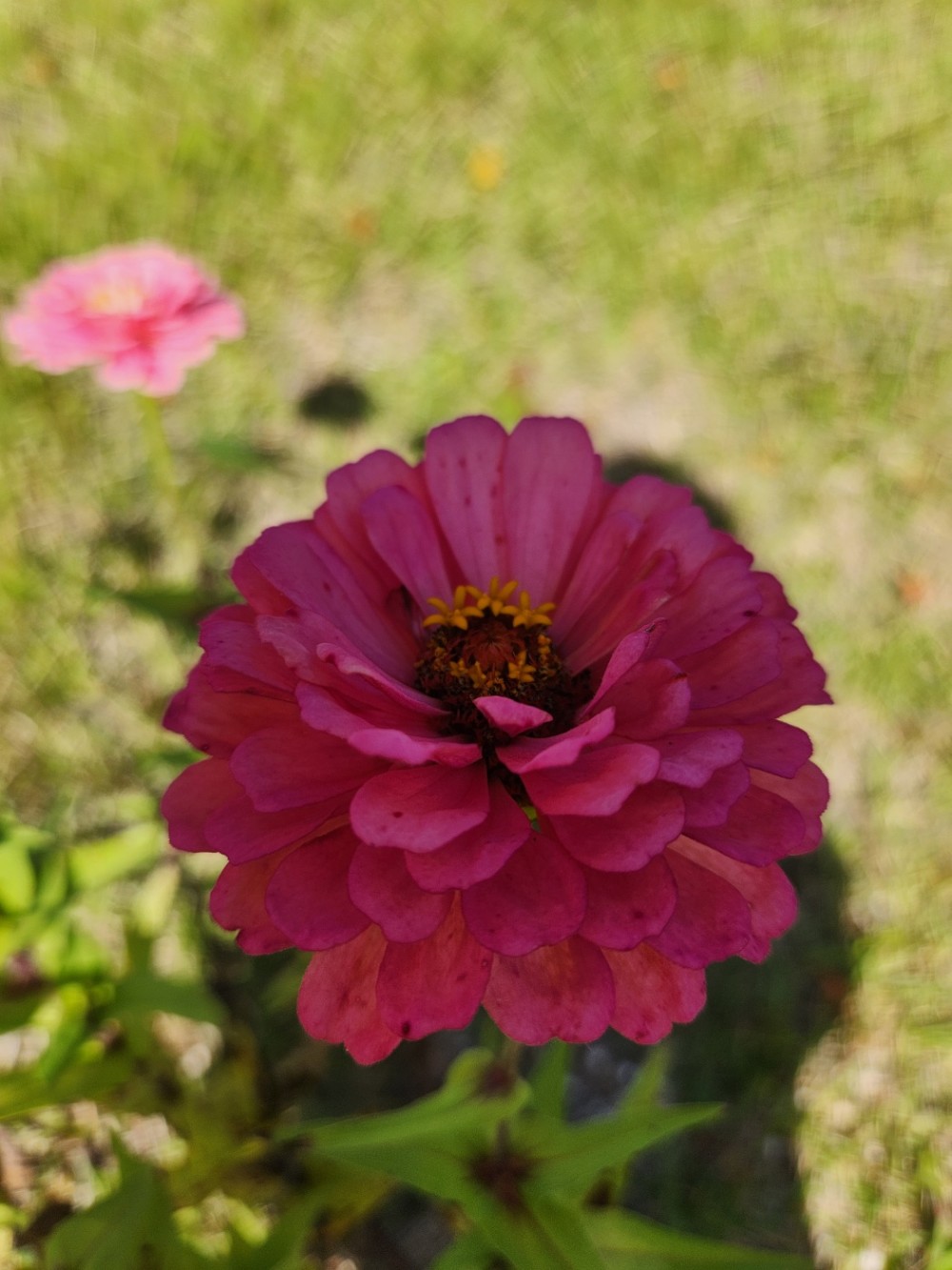 a80c7e3435ff78e6b879855b953414ef_1700037949_1386.jpg