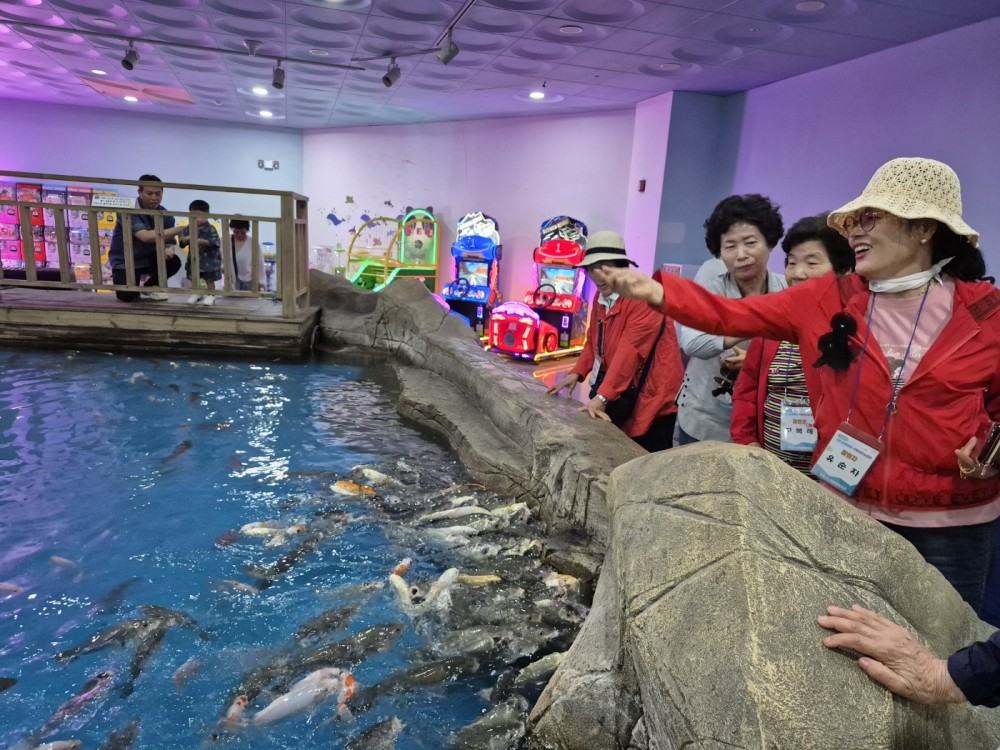 20260526192225_2040525901_9i5UJTYHtD_6a1574614a670.jpg